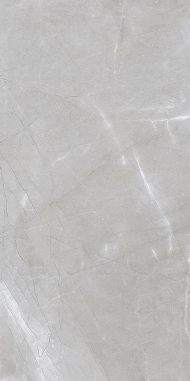 Luxury Amani Grey Matte 12 x 24